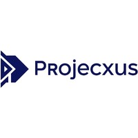 Projecxus Management Consulting logo - Similar company to Project Management Office