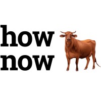 HowNow Solutions logo - Similar company to Nowhow - Peter Janssens