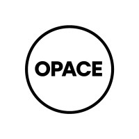 Opace Digital: AI Agency & Digital Consulting logo - Similar company to Make Wordpress Marketing Team
