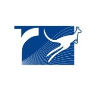 Rapid Education & Visa Consultants logo - Similar company to Gimvs(Global Immigration And Visa Services) Inc.