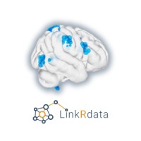 linkRdata 🧠 logo - Similar company to Ss2I
