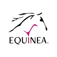 Equinea logo - Similar company to Damondarchitecture