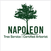 Napoleon Tree Service logo - Similar company to International Systems Management Corp.