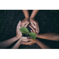 Emerging Excellence logo - Similar company to The Demographics Group