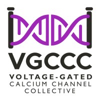 The VGCCC logo - Similar company to Rare Disease Research Network (Rdrn)