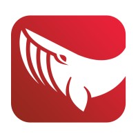Media Whales logo - Similar company to Max Network