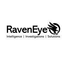 Raven Eye Group logo - Similar company to Raveneye