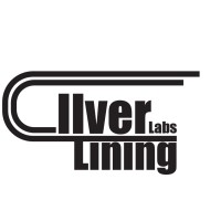 Silver Lining Labs logo - Similar company to Schoolverlaters
