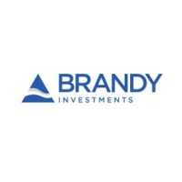 Brandy Investments, Inc logo - Similar company to Skin Again