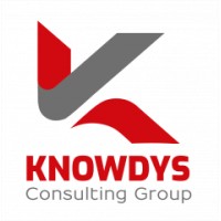 Knowdys Consulting Group logo - Similar company to Vds