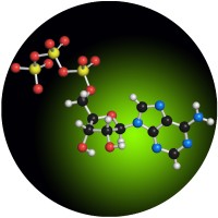 Communicating Science logo - Similar company to Simplified Science Publishing