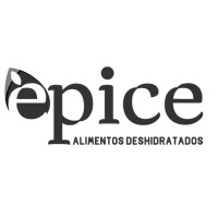 EPICE logo - Similar company to Epicea