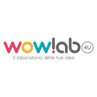 wowlab4u logo - Similar company to Techart