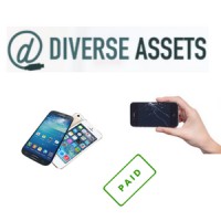 Diverse Assets, LLC logo - Similar company to Kalidy Llc