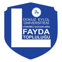 DEÜ FAYDA LÖSEV TOPLULUĞU logo - Similar company to Btu Losev Fayda Organization