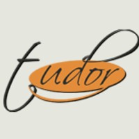 Tudor Management Consultants Pvt Ltd logo - Similar company to Sv Infotech
