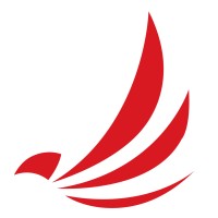 Bellawings Jet logo - Similar company to Deer Jet