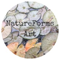 Natureforms Art