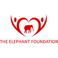 The Elephant Foundation logo - Similar company to Elephant Tracks Foundation