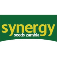 Synergy Seeds Zambia logo - Similar company to Duwit