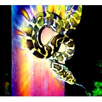 SomalandLabs logo - Similar company to T.C.S.