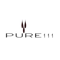 Pure111 logo - Similar company to My Face Lady