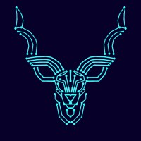 Wits Developer Society logo - Similar company to Forum Assignment Group Pty Ltd