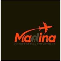 Madina Elemo Private Foreign Employment Agency logo - Similar company to Cloud Uas Payloads