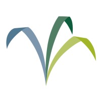 Hilton Head Health logo - Similar company to Golden Code Development