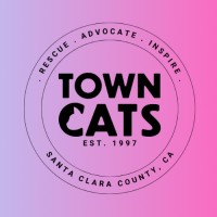 Town Cats