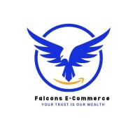Falcons E commerce logo - Similar company to E-Commerce Galaxy