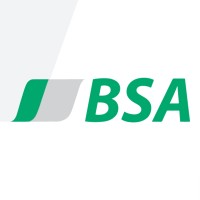 BSA - Brainstorm Academy logo - Similar company to Daados
