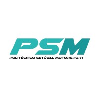 PSM logo - Similar company to Srw Software