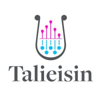 Talieisin logo - Similar company to Managed - Ais