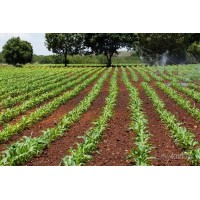 AGRI 7 SEVEN logo - Similar company to Fly Alto
