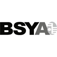 BSY Associates Inc. logo - Similar company to Containerization & Intermodal Institute