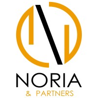Noria&Partners logo - Similar company to Holimetrix
