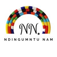 Ndingumntu Nam logo - Similar company to Whitfield Fintax