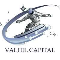 Valhil NFT logo - Similar company to Valhil Advisors