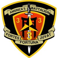 3rd Battalion 3rd Marines Alumni logo - Similar company to Tēn4 Rentals & Cohosting