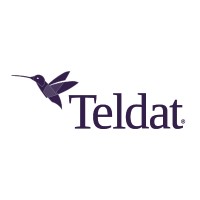Teldat logo - Similar company to Davantel