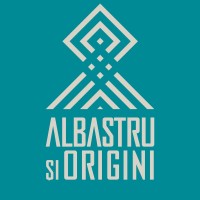 Albastru si Origini logo - Similar company to Fundatia Comunitara Valcea