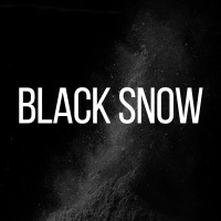 Black Snow logo - Similar company to Black Snow