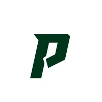 P Academy logo - Similar company to Succeedemy