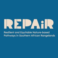 REPAiR project logo - Similar company to Alpinonline