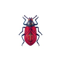 Kormzi logo - Similar company to Appcone