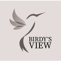 Birdy's View logo - Similar company to Rheos Consulting