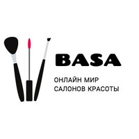 BASA LLC
