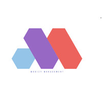 Madizy Management logo - Similar company to Mm Coaching Dp