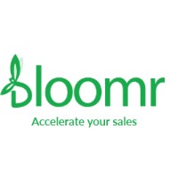 Bloomr logo - Similar company to Rocksolid Sql
